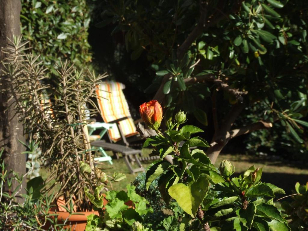La Masa Hotel Éze Luaran gambar